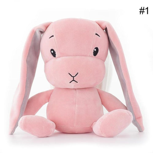 Lucky rabbit boy