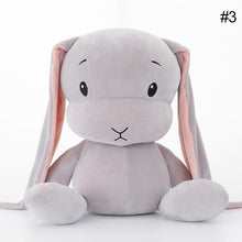 Load image into Gallery viewer, Lucky rabbit boy