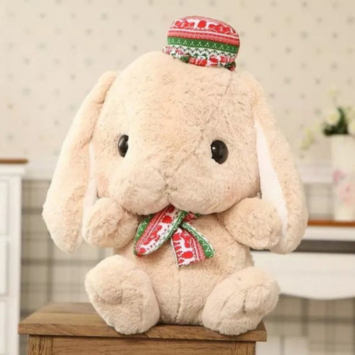 Kacakid Lop Rabbit
