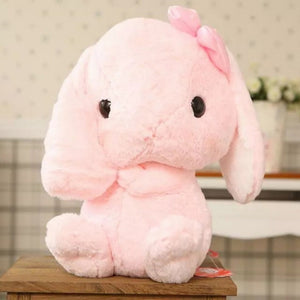 Kacakid Lop Rabbit