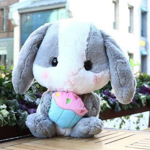 Kacakid Lop Rabbit